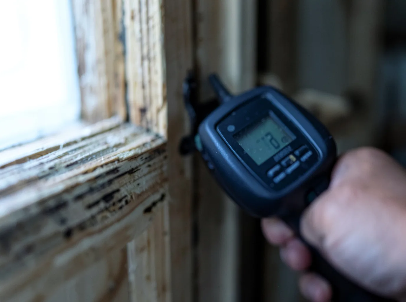 Moisture Inspection And Documentation in Meridian, MS